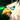 10339.png