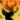 10374.png
