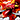 31559.png