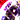 31570.png