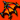 50344.png