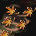 50718.png