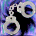 50903.png