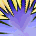 50919.png