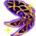 51222.png
