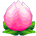 51242.png