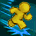 51675.png