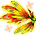 51906.png