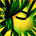 6361.png
